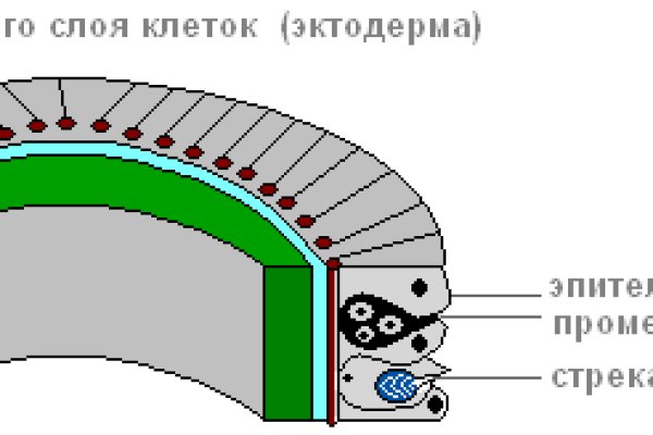 Рабочая ссылка омайгад